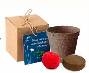 Eco box bomba de semilla