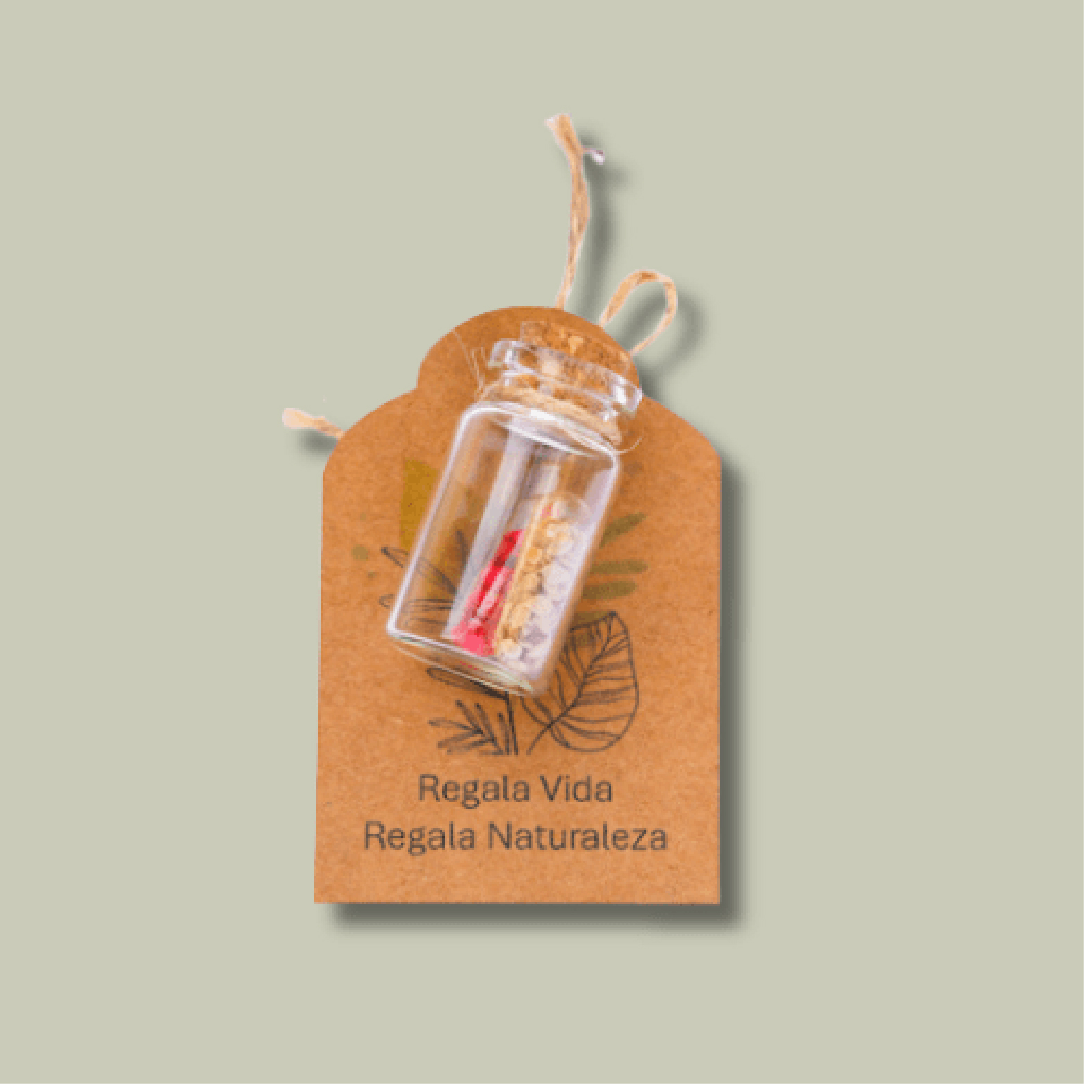 Kit Píldoras con semillas	